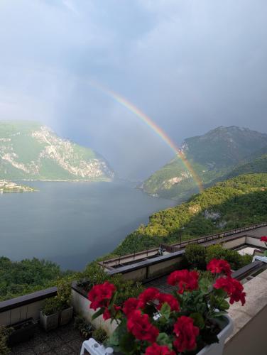 a rainbow over a lake with a pot of flowers at Angolo Paradiso - Lago di Como in Valbrona