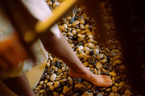 a person standing on a pile of chickpeas at Hotel Marqués de Riscal, a Luxury Collection Hotel, Elciego in Elciego