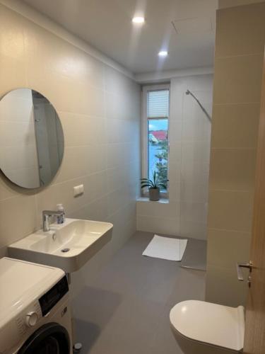 a bathroom with a sink and a toilet and a mirror at Sadama Apartment in Haapsalu