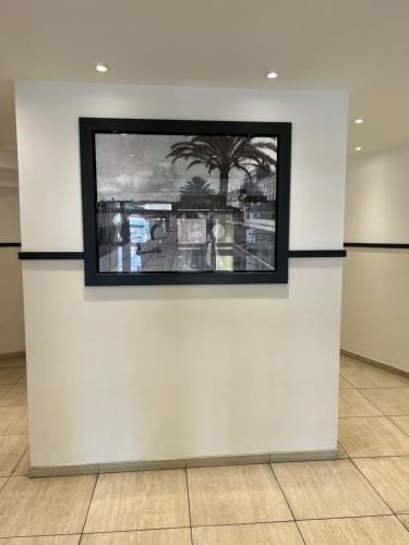 un mur avec une photo d'un palmier sur le mur dans l'établissement studio confortable, à Cannes