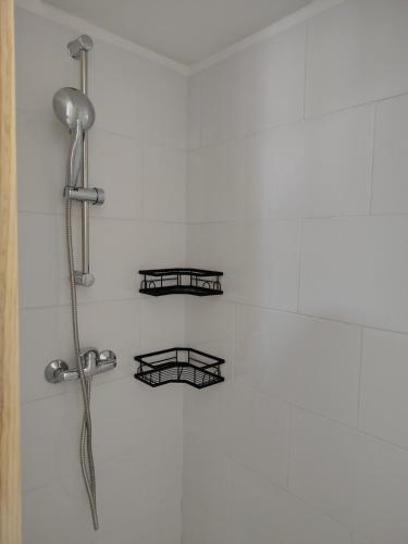 La salle de bains est pourvue d'une douche et de 2 étagères. dans l'établissement Vue Volcans Studio de Charme Thiers Centre, à Thiers