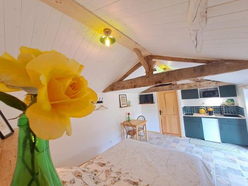 une fleur jaune dans un vase vert dans une pièce dans l'établissement studio voulmentin, à Saint-Clémentin