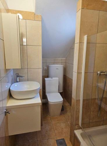 a bathroom with a toilet and a sink and a shower at Beach Villa Ema in Rab