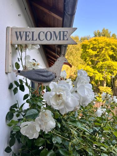 un panneau indiquant « bienvenue » à côté de fleurs blanches dans l'établissement Charmante maisonnette, à La Celle-sous-Gouzon