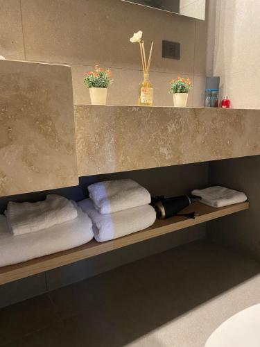 a shelf with towels and plants on it in a bathroom at Edificio Pantera - Soñar es crear in San Martín de los Andes