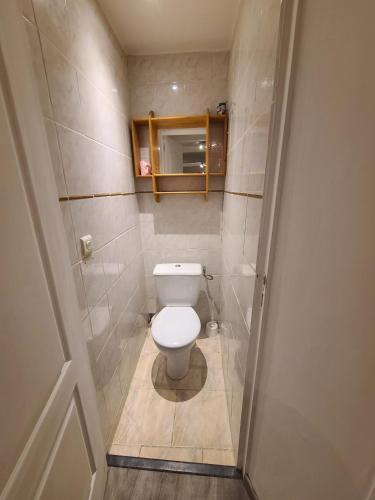 - une petite salle de bains avec toilettes dans une cabine dans l'établissement Appartement T2 à 100m du port, à La Seyne-sur-Mer