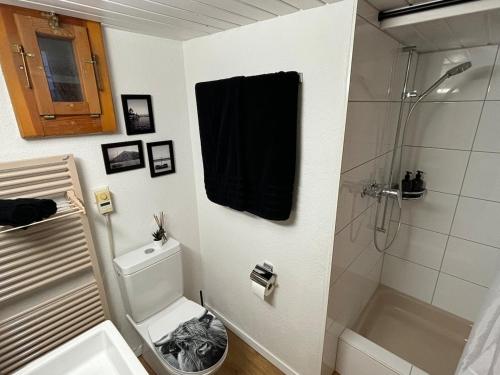a bathroom with a shower and a toilet and a sink at Dahei am See in Oberhofen am Thunersee
