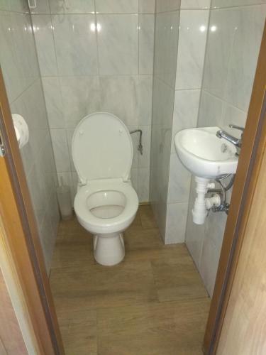 a bathroom with a toilet and a sink at Grodzisko11 in Skała