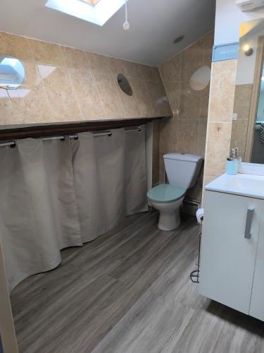 une salle de bain avec toilettes et lavabo dans l'établissement Sous les toits, à Narbonne