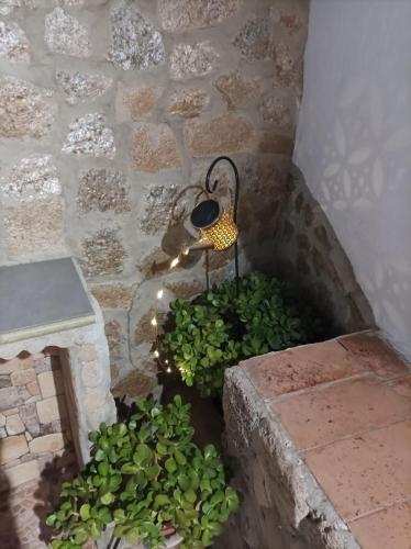 Gambar di galeri bagi Casa Patria di Vejer de la Frontera