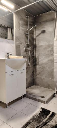a bathroom with a shower and a white sink at Nyuszis Vendégház in Kiskunmajsa
