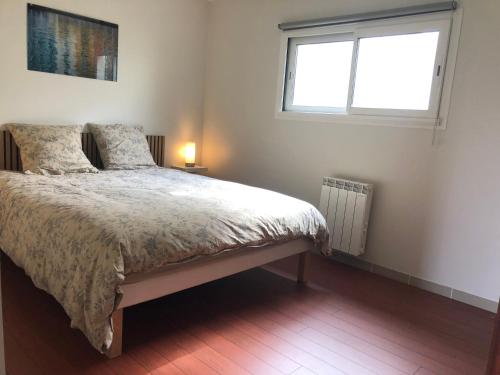 une chambre avec un grand lit avec une fenêtre dans l'établissement Appartement Rez de chaussée, au Le Verdon-sur-Mer