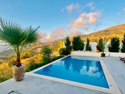 a swimming pool with a palm tree in a yard at Villa Etoni, amazing sea views, infinity pool in Kalamitsi