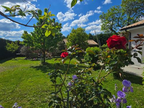 un jardin avec des roses rouges et des fleurs violettes dans l'établissement La Villa de Joy, à Sanguinet