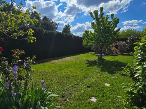 un jardin avec un arbre au milieu d'un champ dans l'établissement La Villa de Joy, à Sanguinet