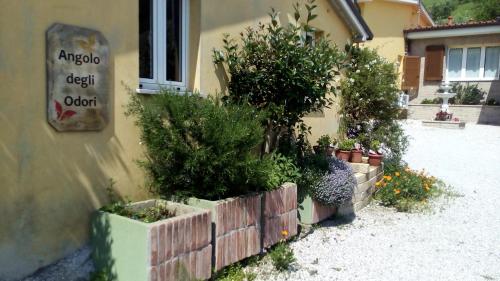 a group of potted plants on the side of a building at Bigotti in Fano