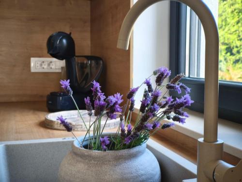 a vase filled with purple flowers sitting on a kitchen sink at Maella garden in Zadar