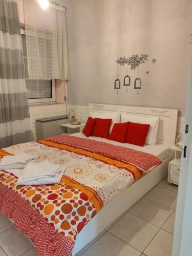 Nikol & Stella's House