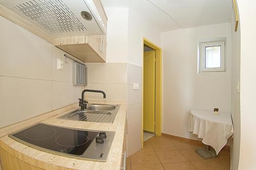 a small kitchen with a sink and a sink at Apartments Tomato 1 in Novigrad Istria