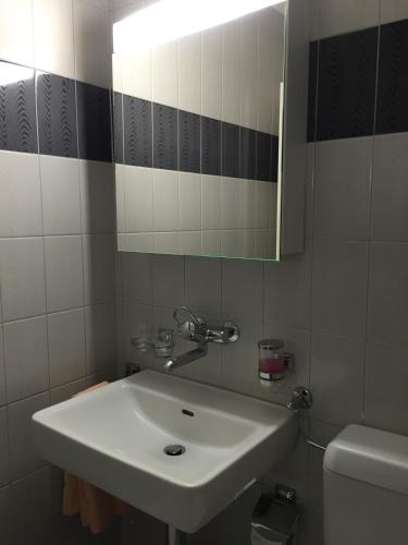 a bathroom with a sink and a mirror and a toilet at Hotel Bahnhof in Uzwil