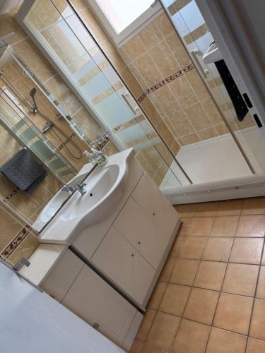 une salle de bain avec un lavabo et une douche dans l'établissement Capao, au Cap d'Agde