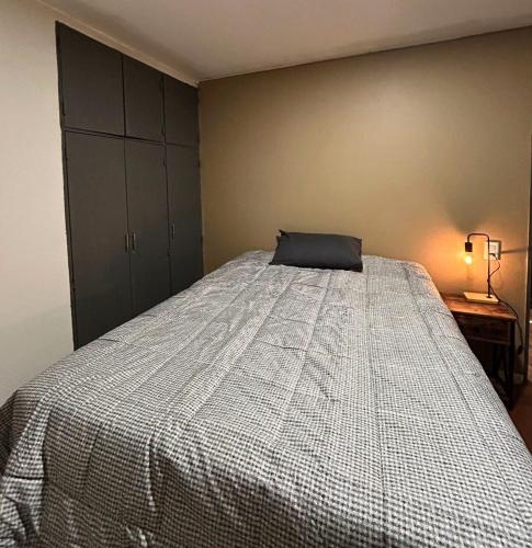 a bedroom with a bed with a pillow on it at Los penitentes, edificio juncal dpto 1 in Los Penitentes