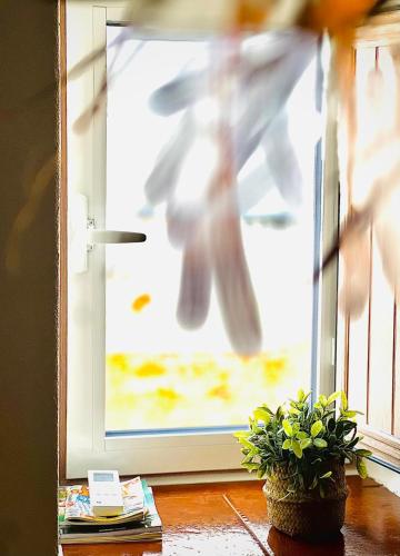 a bird flying in front of a window at Casa Fidalgo in Santo António da Terrugem