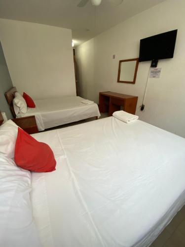 Postel nebo postele na pokoji v ubytování Hotel Italia, Aguascalientes