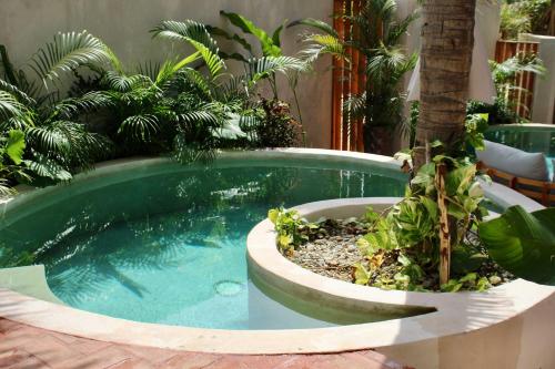 una piscina en un jardín con palmeras en Casa Leah Puerto Escondido, en Puerto Escondido
