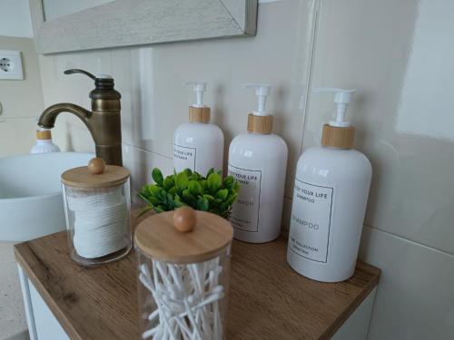 a counter with four bottles of soap and a bunch of green plants at Casa Papel y Pluma in Cazorla