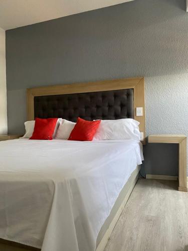 Postel nebo postele na pokoji v ubytování Hotel Italia, Aguascalientes