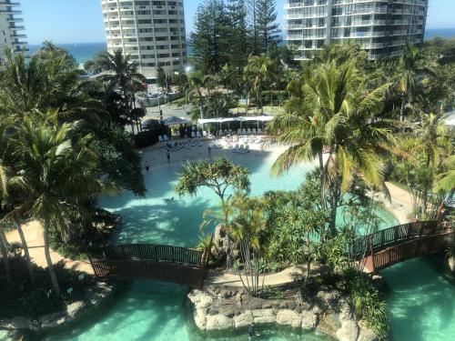 an aerial view of a swimming pool at a resort at Envy of Surfers Paradise in Gold Coast