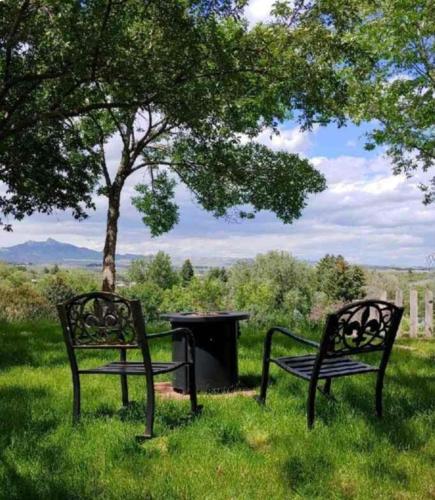 two benches sitting in the grass under a tree at Mountain View Lodge Cody in Cody