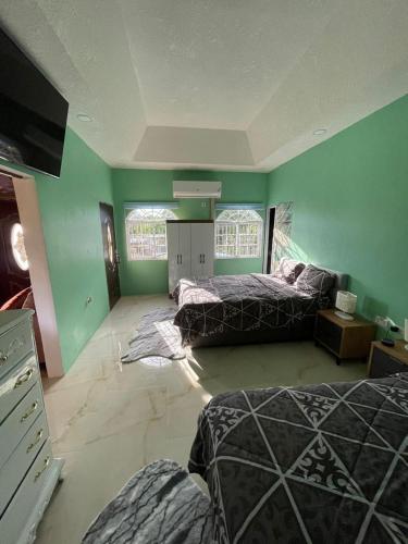 a bedroom with two beds and green walls at H-Tech Vista in May Pen