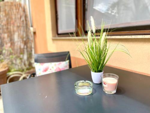 Courtyard Flats Studio URBAN STAY