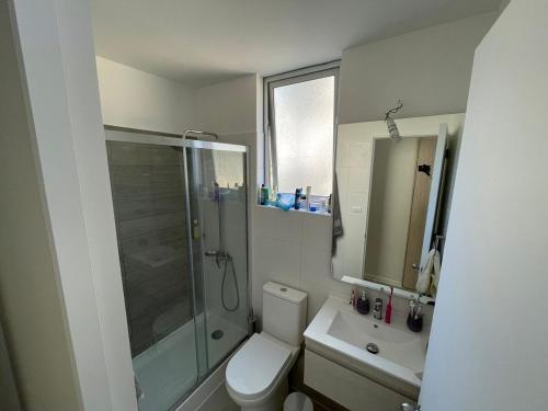 a bathroom with a shower and a toilet and a sink at Refugio Alto Mirasol in Mirasol