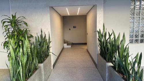 a hallway with potted plants in a building at Cidade das bicicletas in Joinville