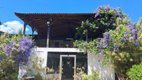 Taman di luar Casa Darwin