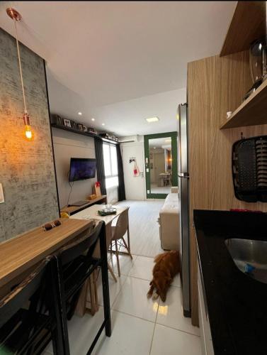 Η κουζίνα ή μικρή κουζίνα στο Apartamento para temporada