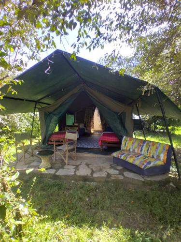 a green tent with two couches in it at Best Camping Tours Campsite in Masai Mara