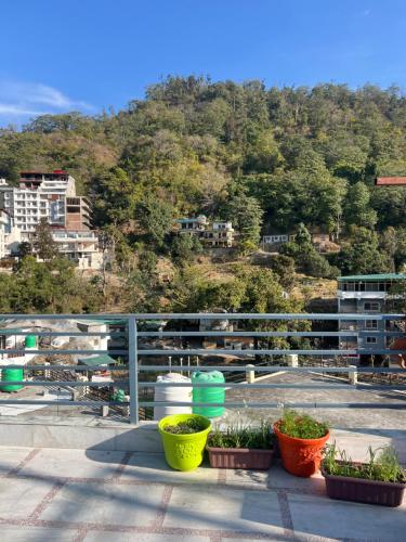 un gruppo di piante in vasi colorati su un tetto di Blissful homestay a Rishikesh
