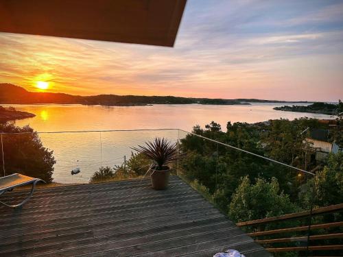 Naturlandschaft in der Nähe des Ferienhauses