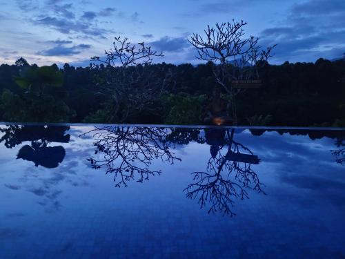 a reflection of two trees in the water at night at Shanti Natural Panorama View Hotel in Singaraja