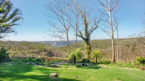 a field of green grass with trees in the background at Hat Hill Hideaway Amazing Valley Views in Blackheath