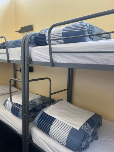 a stack of bunk beds in a room at On Top Backpackers in Dunedin