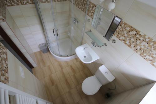 a bathroom with a toilet and a sink and a mirror at Penzión Aurora Patince in Patince