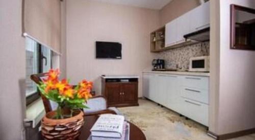 Kuchyň nebo kuchyňský kout v ubytování Mika Hotel