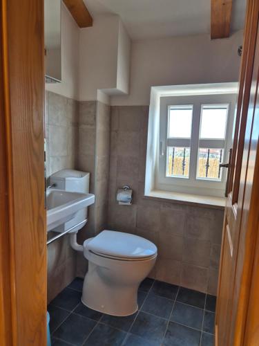 a bathroom with a toilet and a sink and a window at Akvamarin Stone House in Medulin