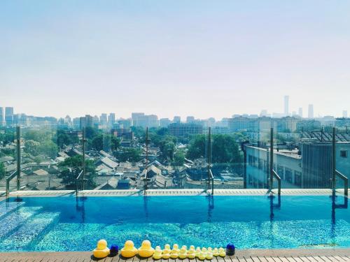 Bazén v ubytování The Purple Horse Hotel 北京紫龙花园酒店 - Beijing Sky Garden Boutique Hotel & Rooftop Infinity Mini Pool - Near Forbidden City, Wangfujing, Tiananmen, Lama Temple - Personalised Tours nebo v jeho okolí