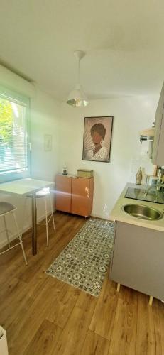 Il comprend un salon avec un évier et une cuisine. dans l'établissement T1bis meublé cozy avec jardin et parking privé, à Toulouse